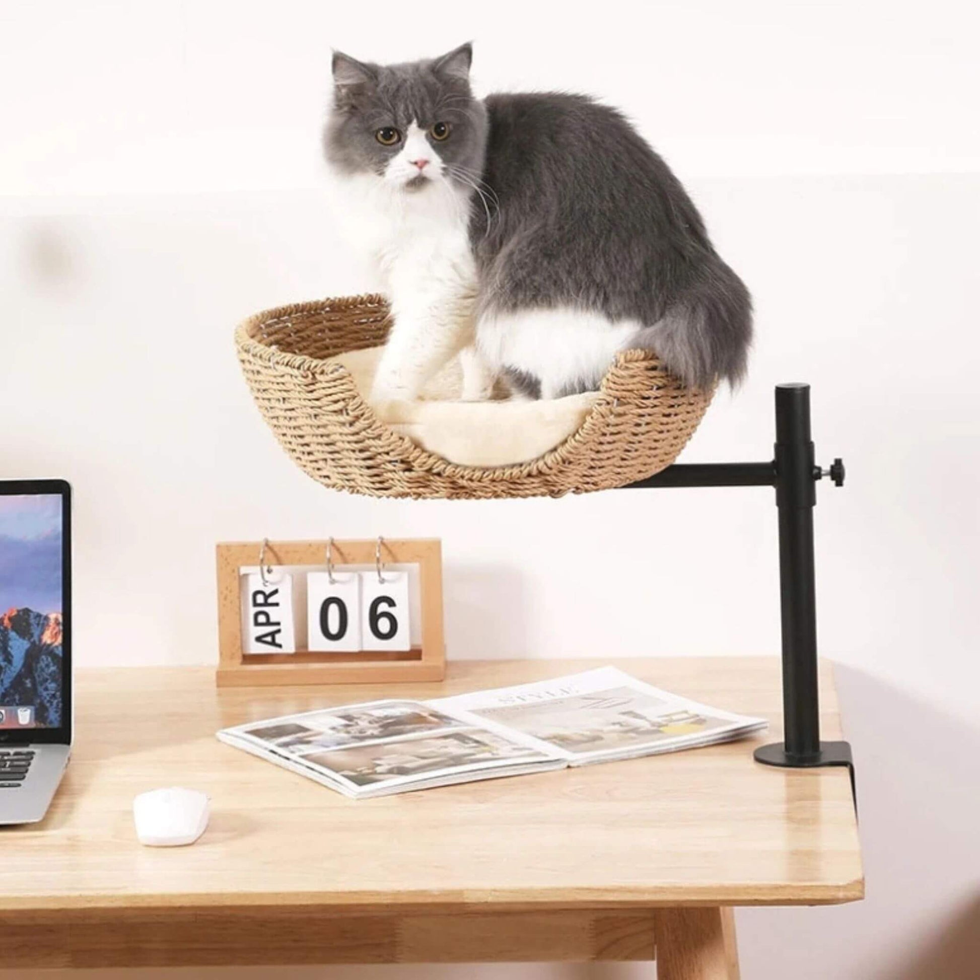 panier-osier-pour-chat-unique