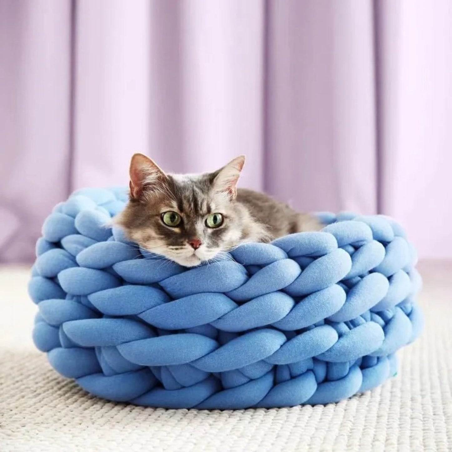 panier-pour-chat-original-panier-tress