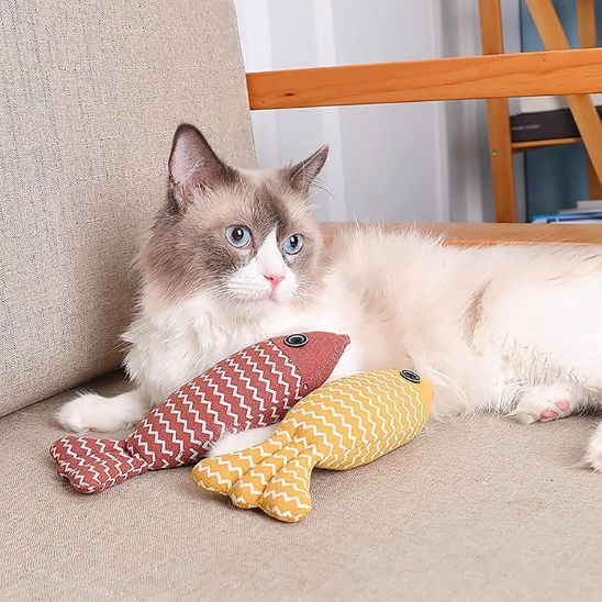 poisson-pour-chat-détente
