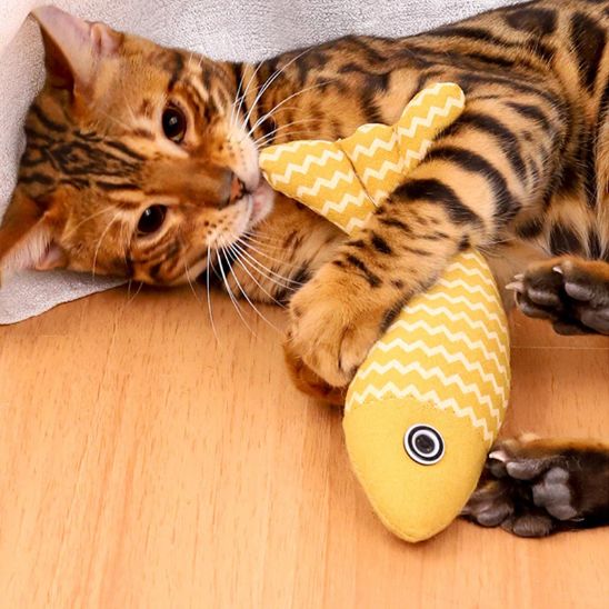 Poisson pour chat | Poisson'Mignon