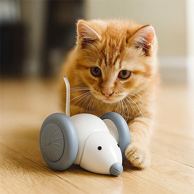 souris-pour-chat-poursuite