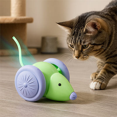 souris-pour-chat-qui-roule