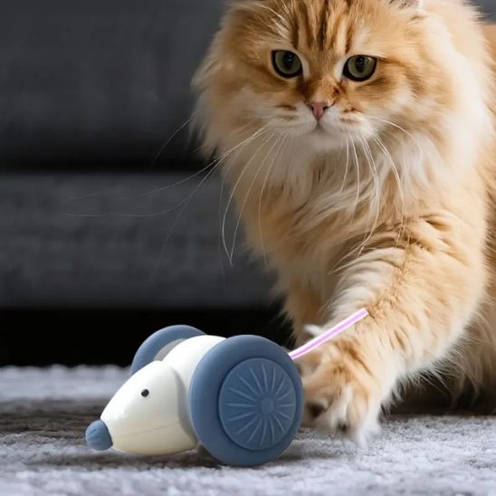 souris-pour-chat-tactile