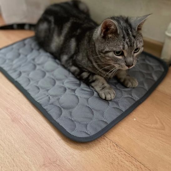 tapis-frais-pour-chat-soulage