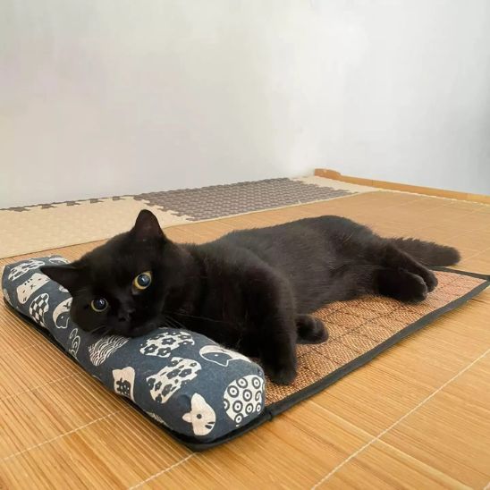 tapis-rafraichissant-chat-glacé