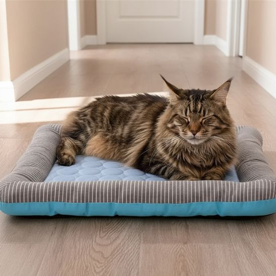 tapis-rafraichissant-pour-chat-apaisant