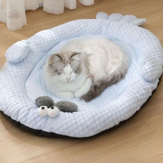 Tapis refrigerant chat poisson