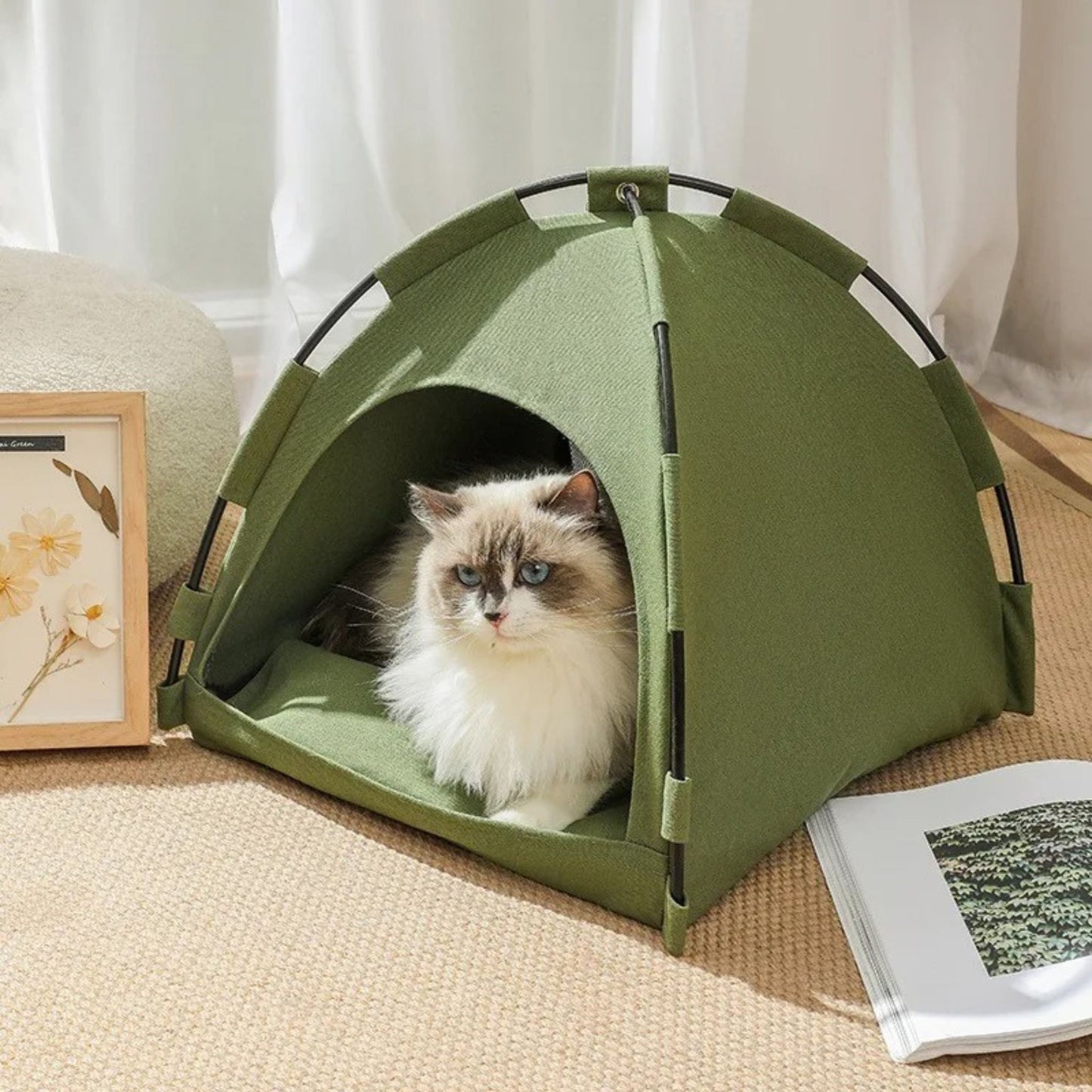 tente-pour-chat-abri