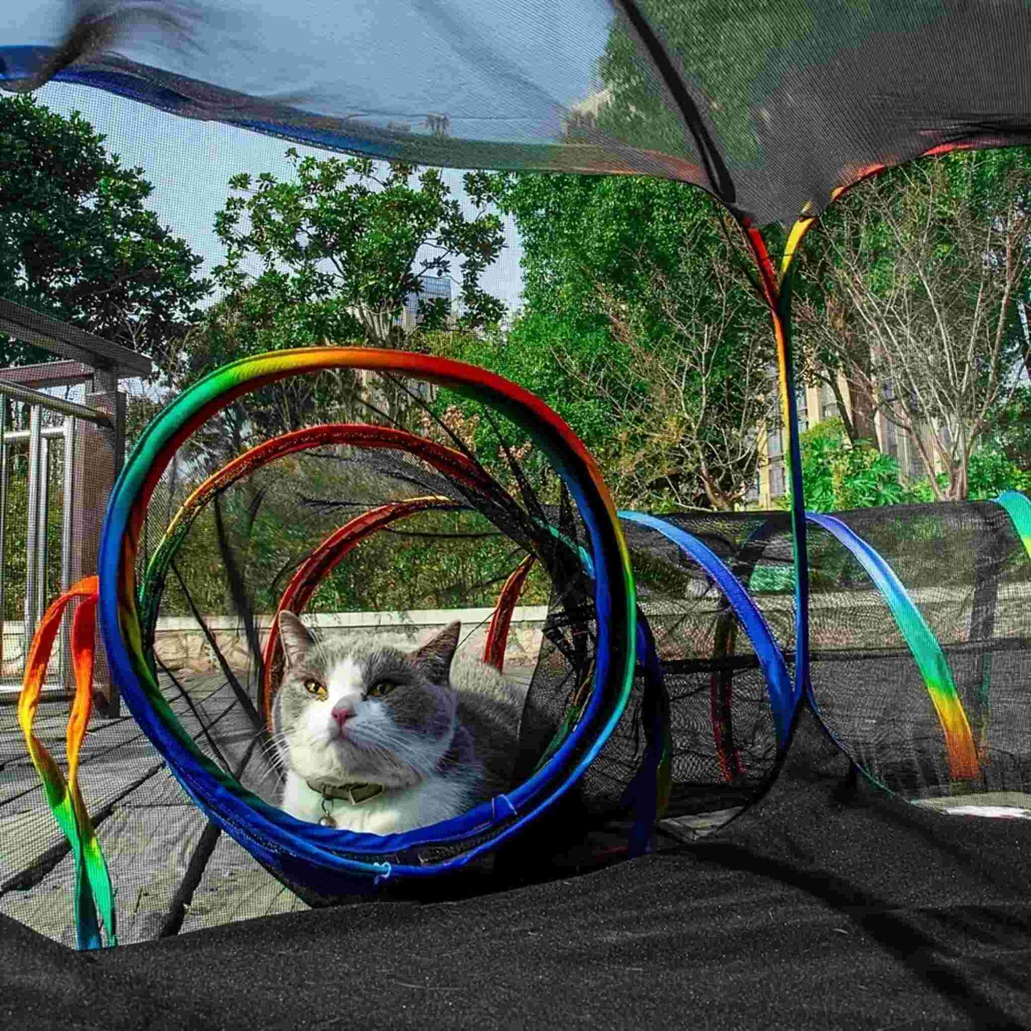 tunnel-a-chat-agréable