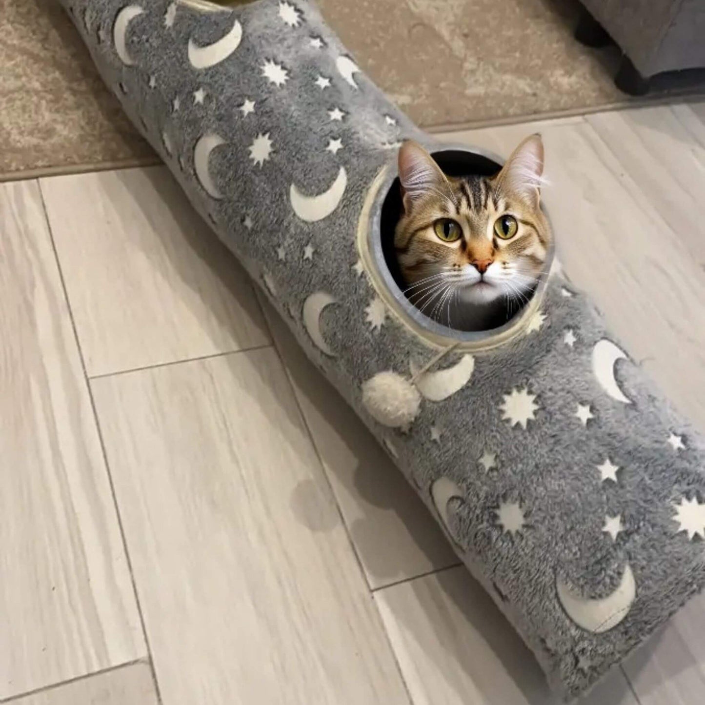 tunnel-a-chat-amusant