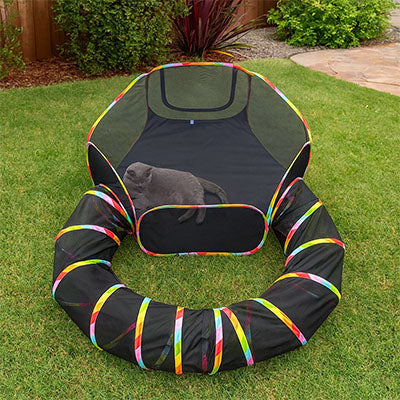 tunnel-a-chat-parc-parcours