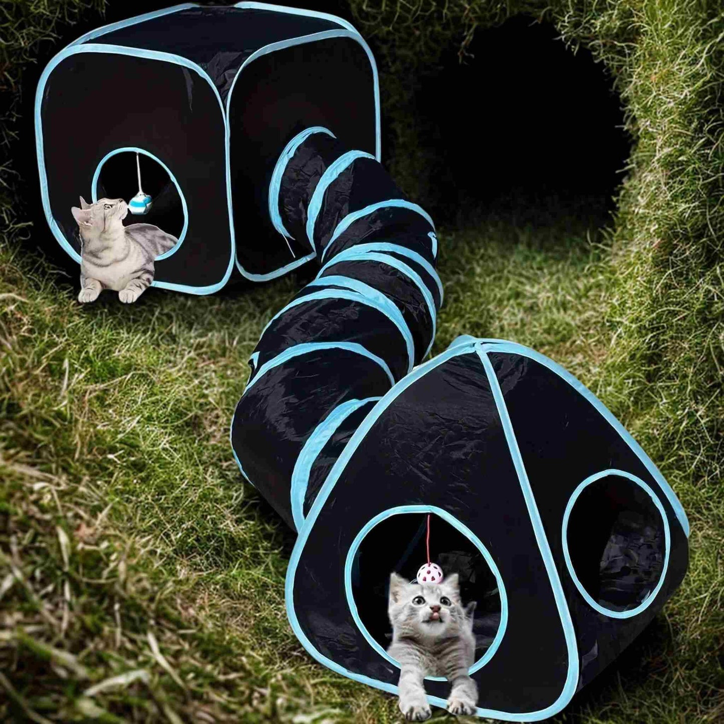 tunnel-chat-aventure