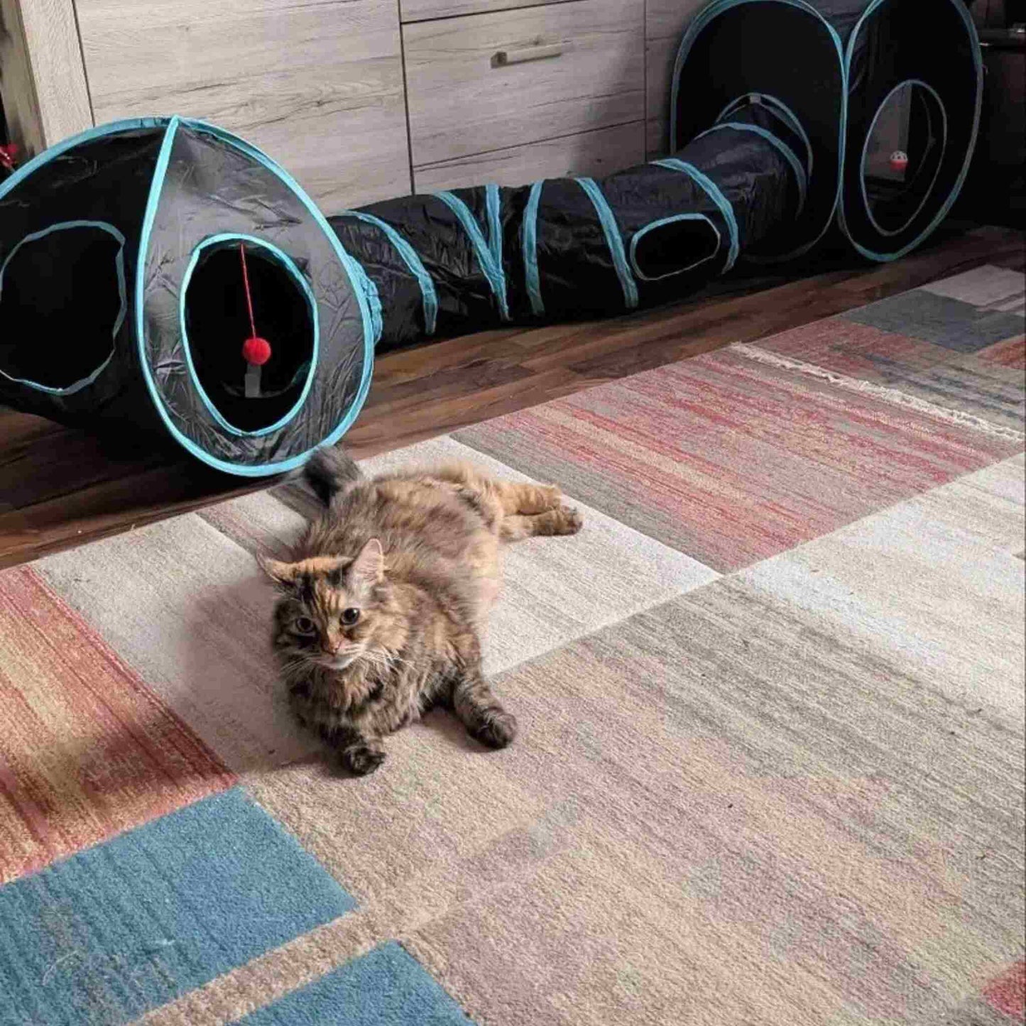 tunnel-chat-grand