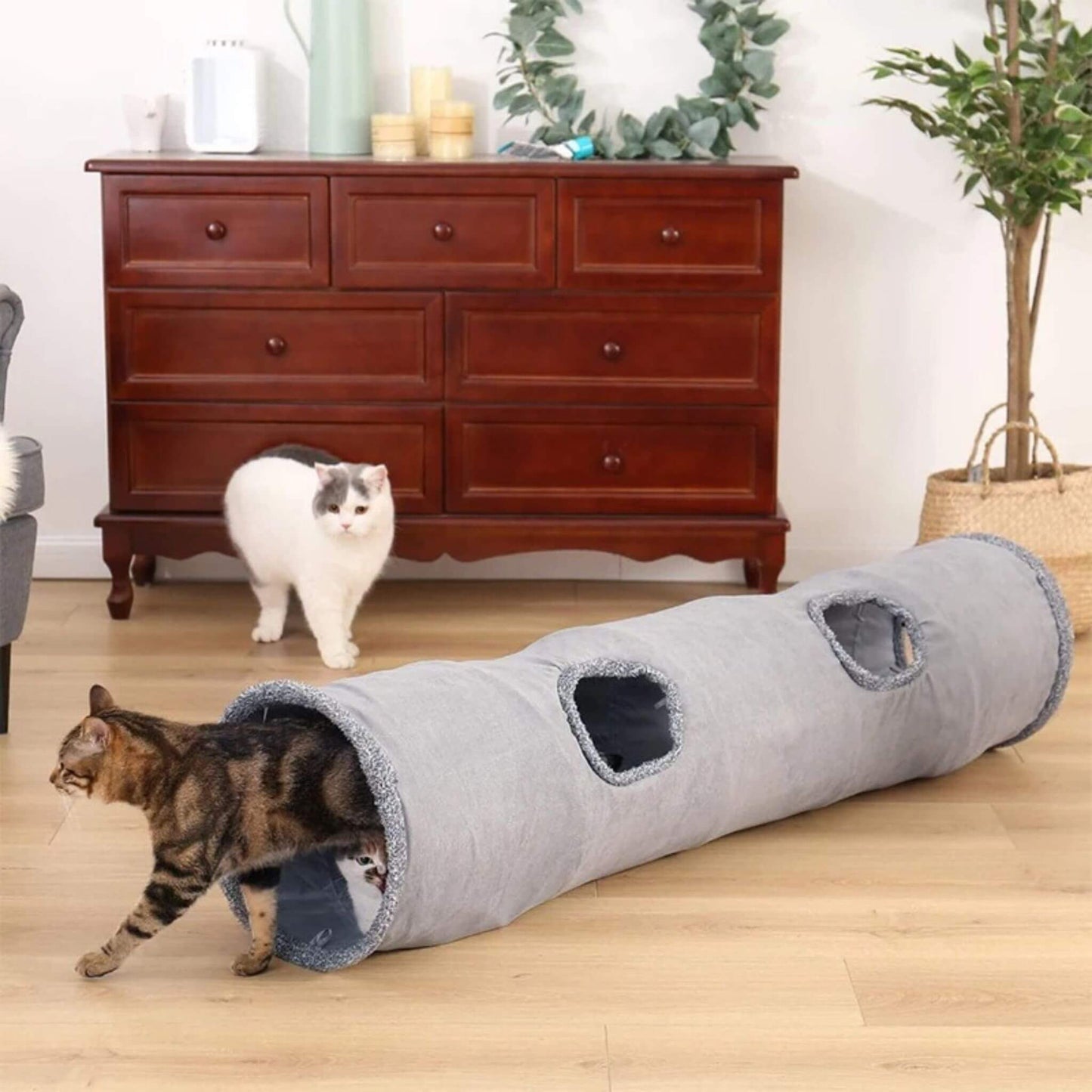 tunnel-chat-gris-multichats