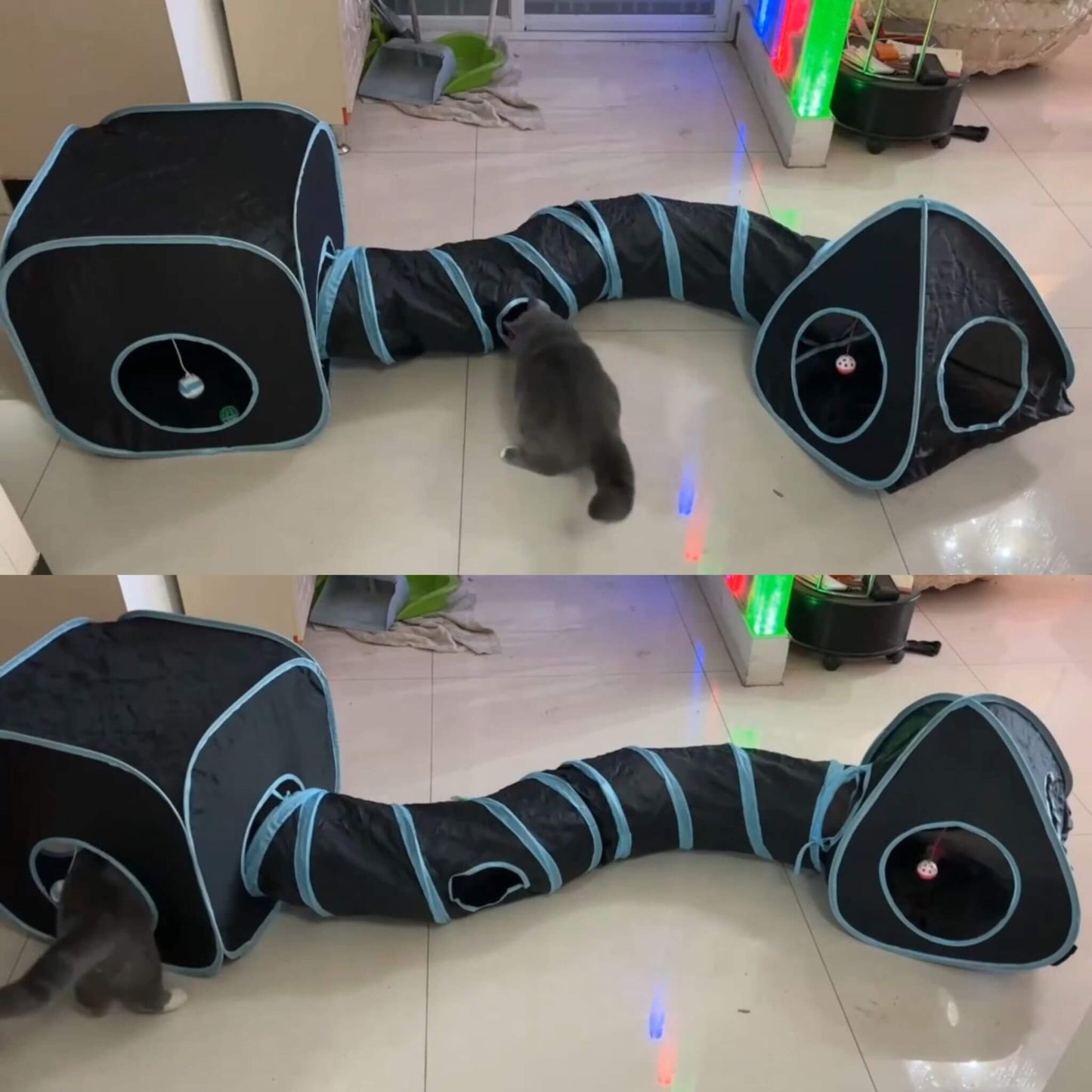 tunnel-chat-incroyable