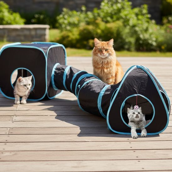 tunnel-chat-noir-bleu