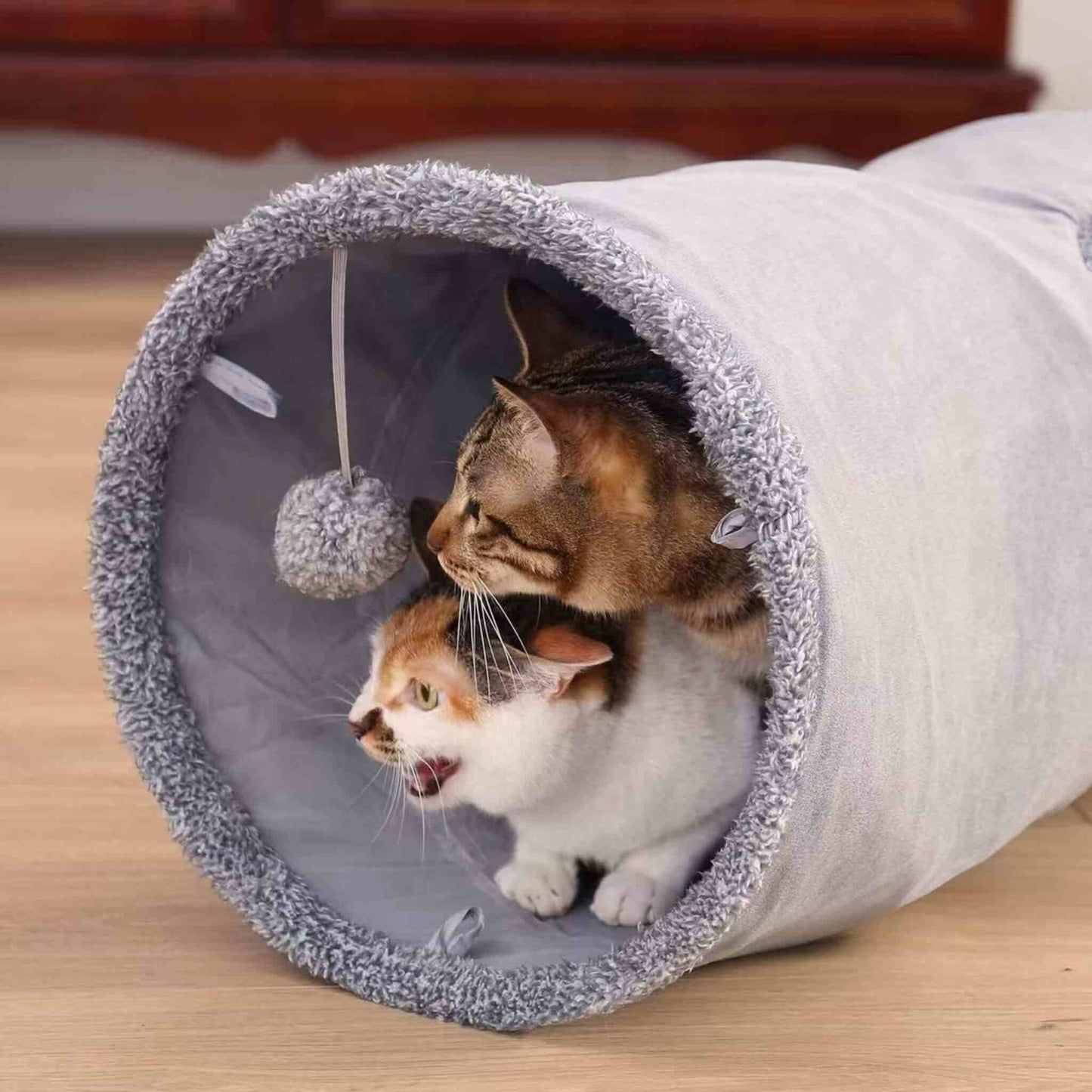 tunnel-chat-poste-observation-gris