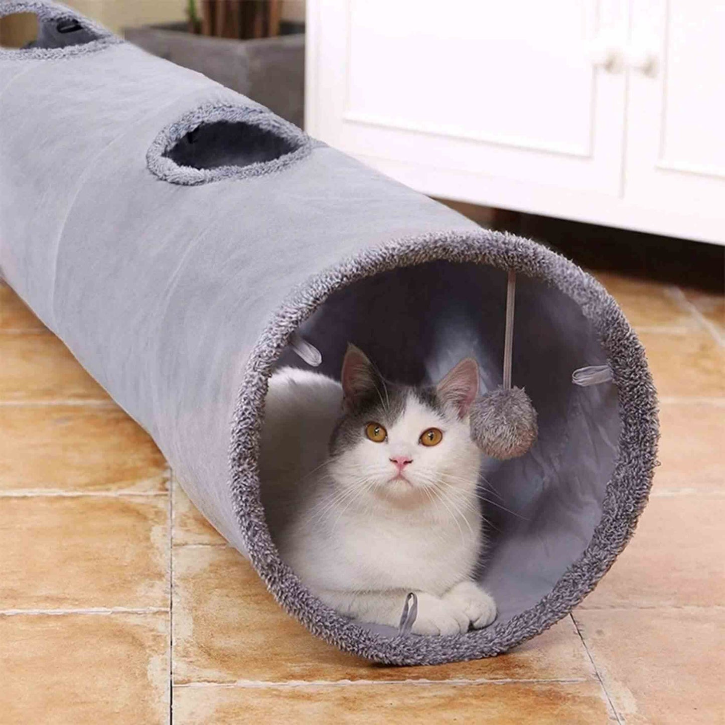 tunnel-chat-semi-fermé-gris