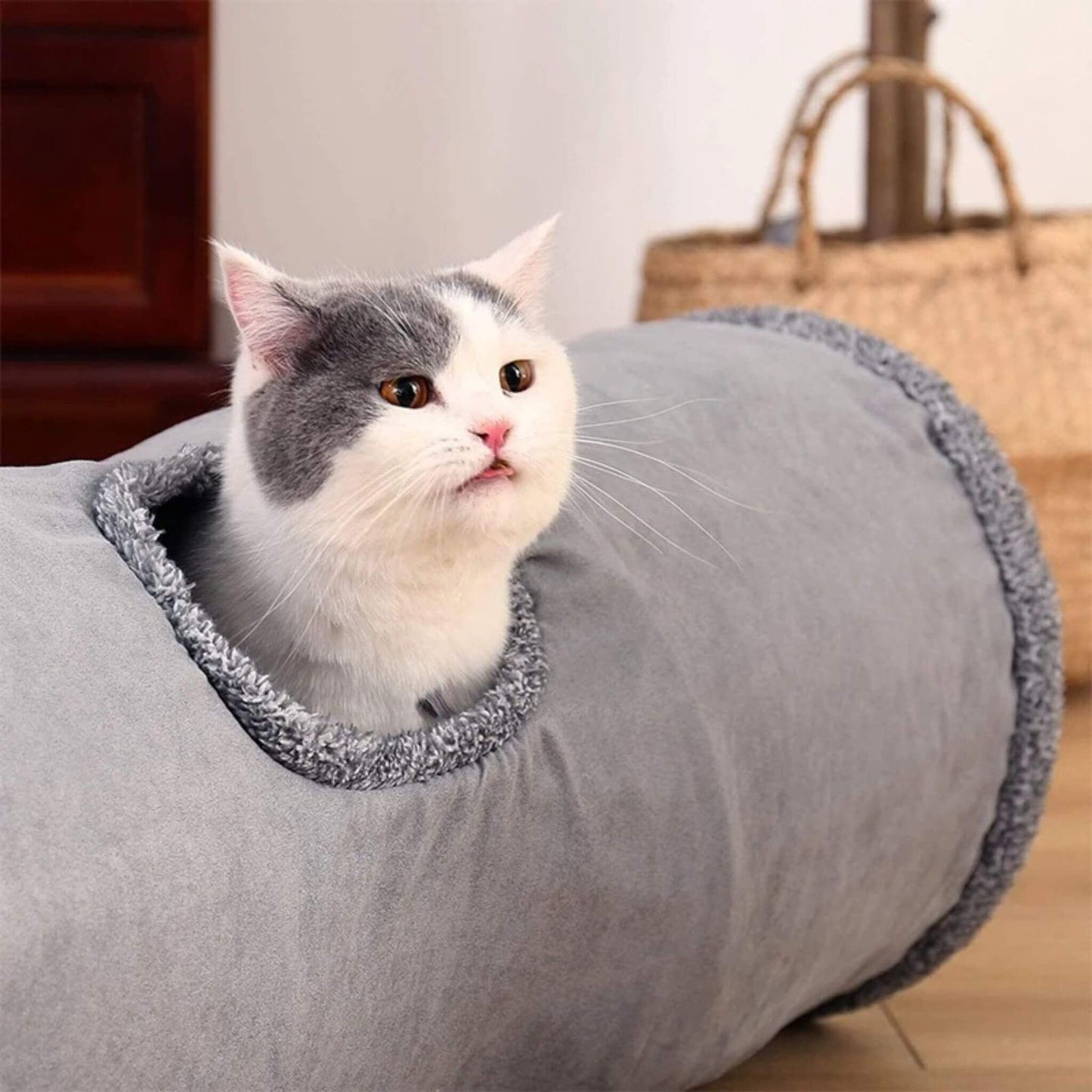 tunnel-chat-trou