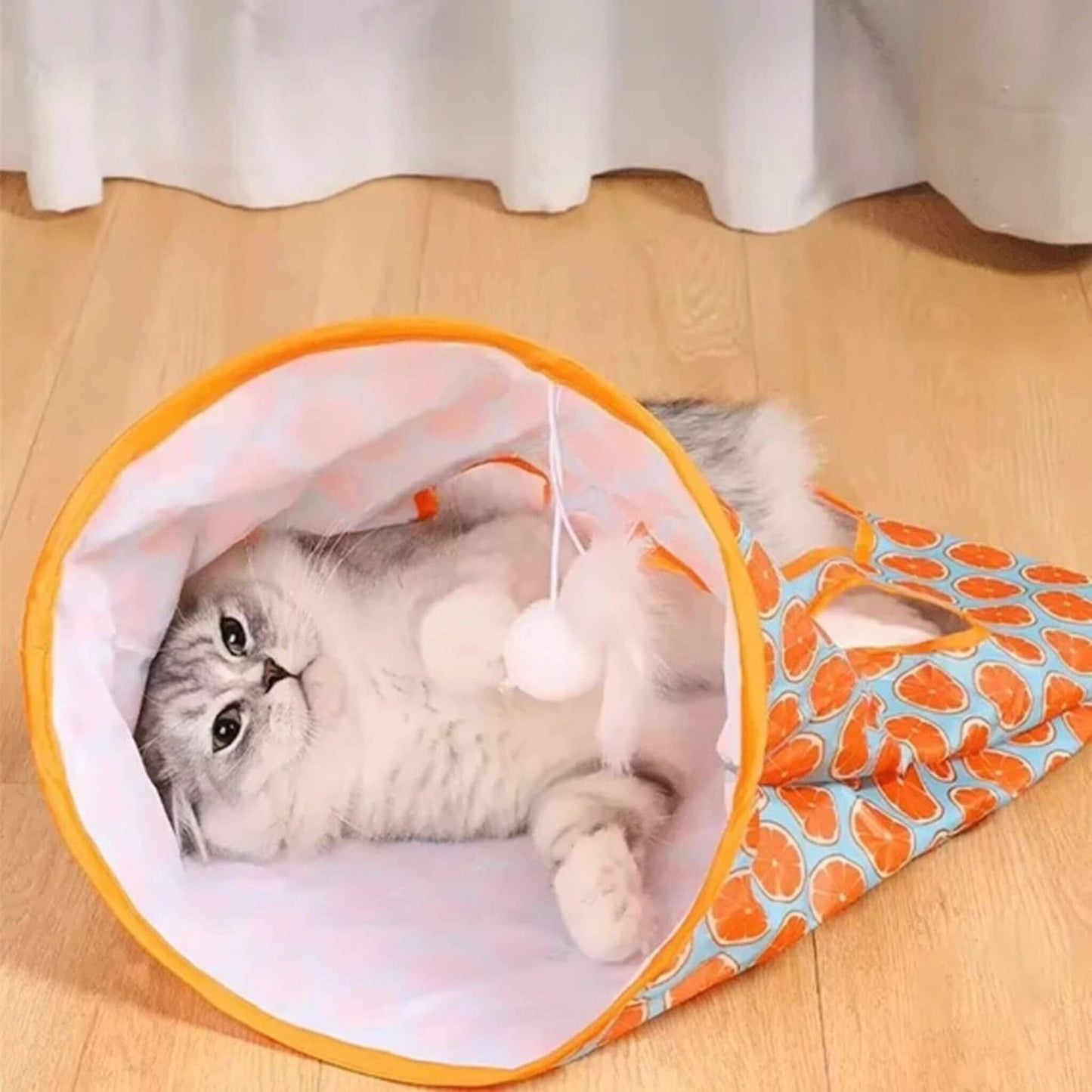 tunnel-du-chat-acivités
