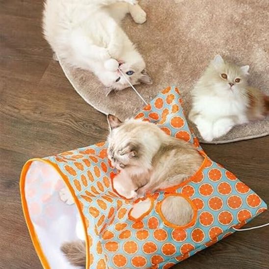 tunnel-du-chat-amusant