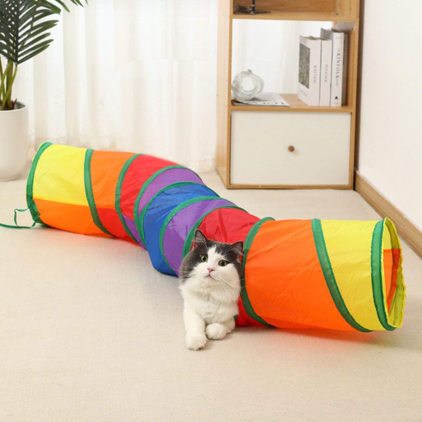 tunnel-du-chat-arc-en-ciel