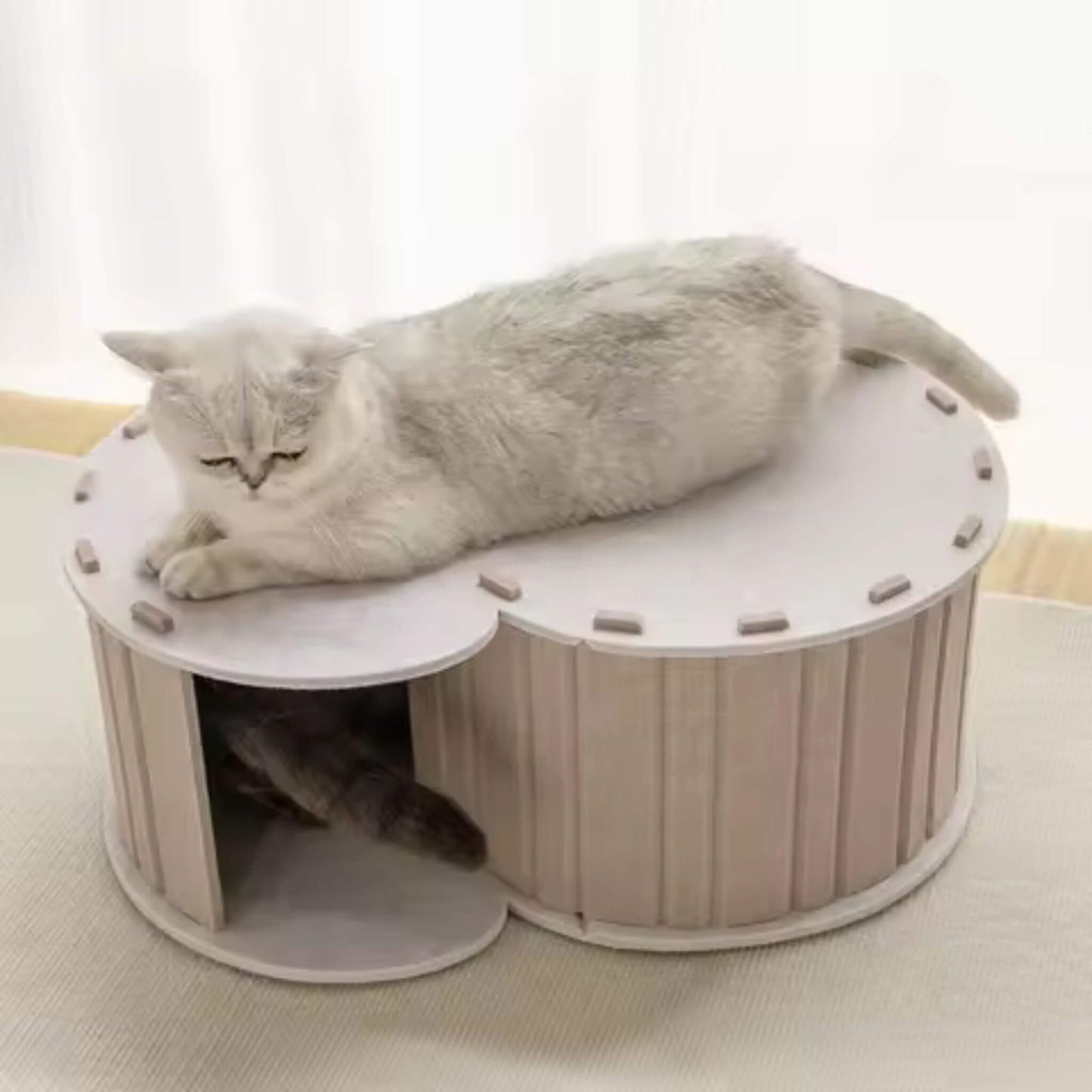 tunnel-du-chat-beige