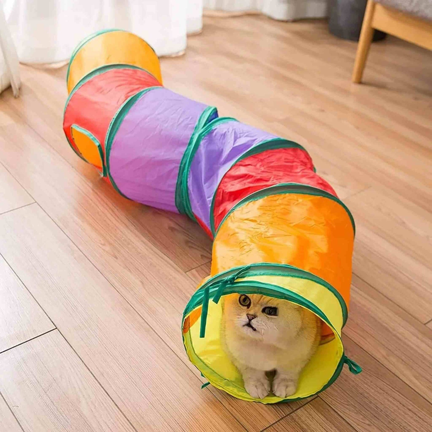 tunnel-du-chat-chasse