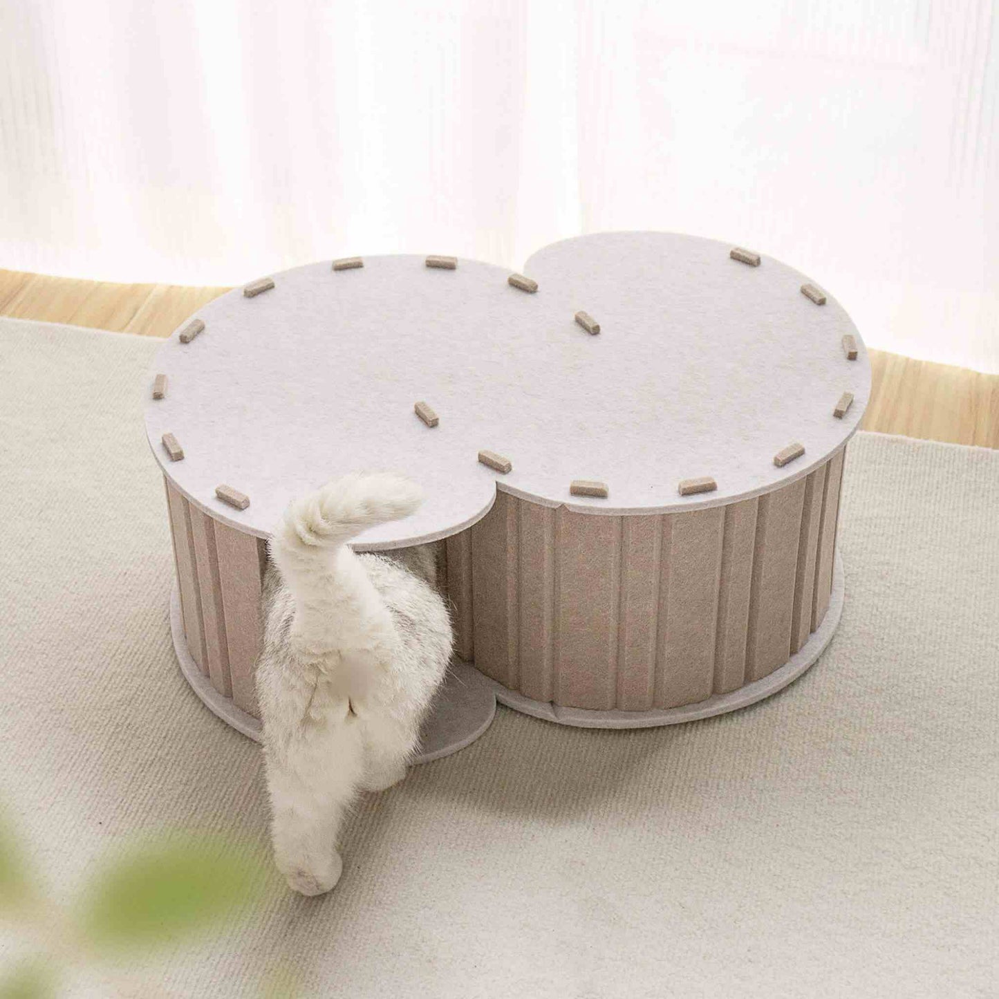 tunnel-du-chat-compact
