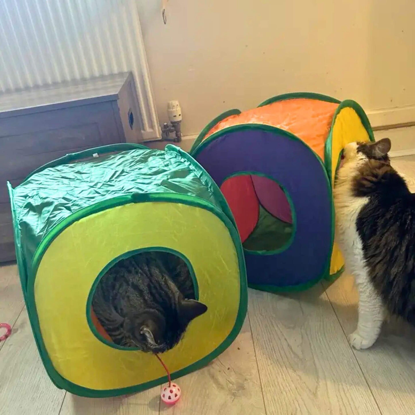 tunnel-du-chat-cube
