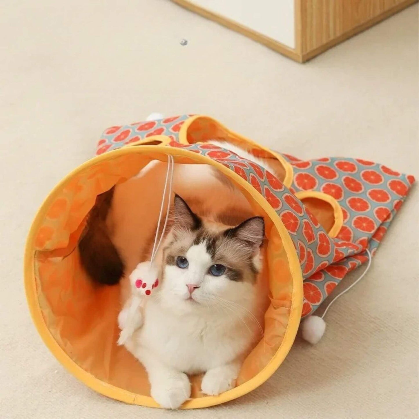 tunnel-du-chat-durable