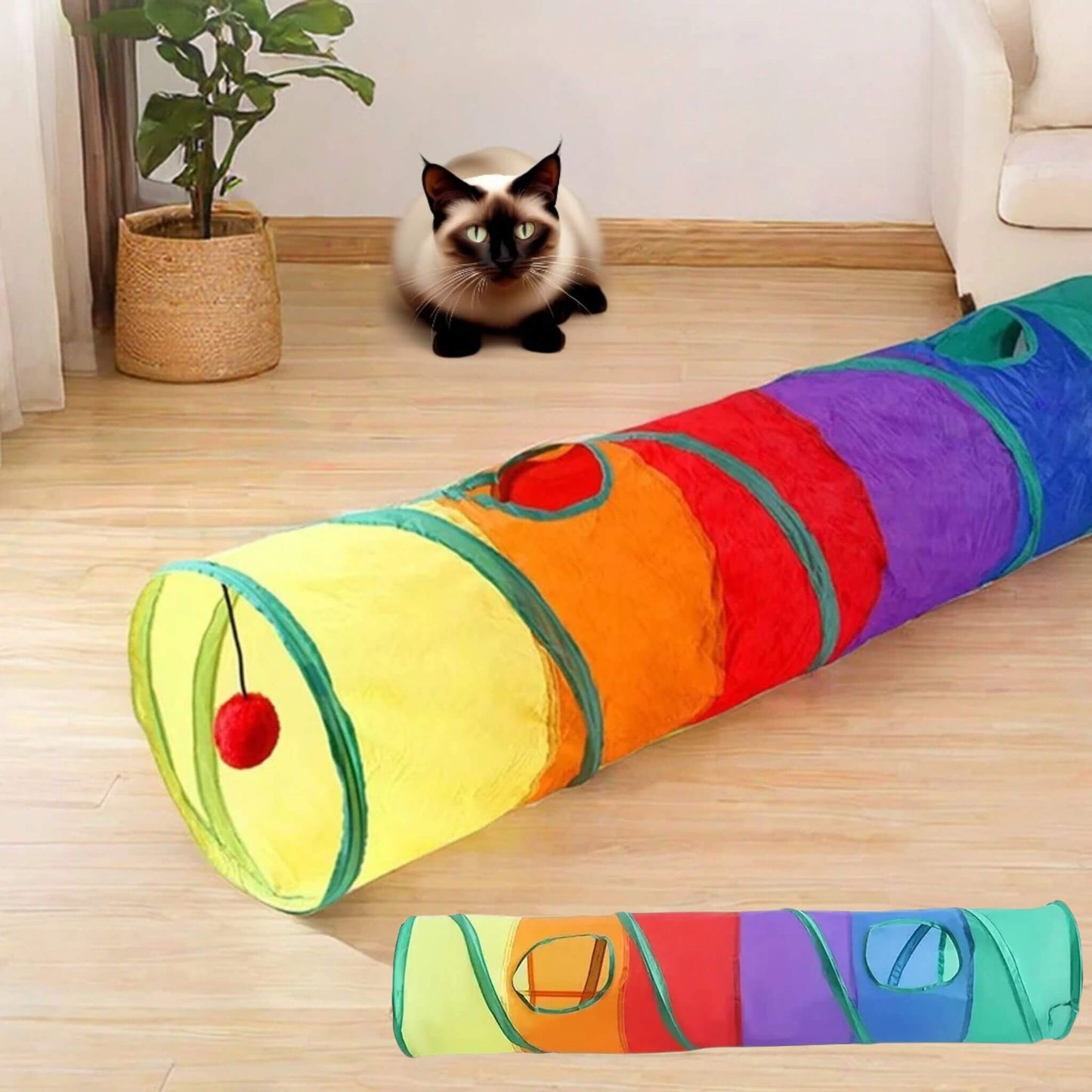 tunnel-du-chat-en-I
