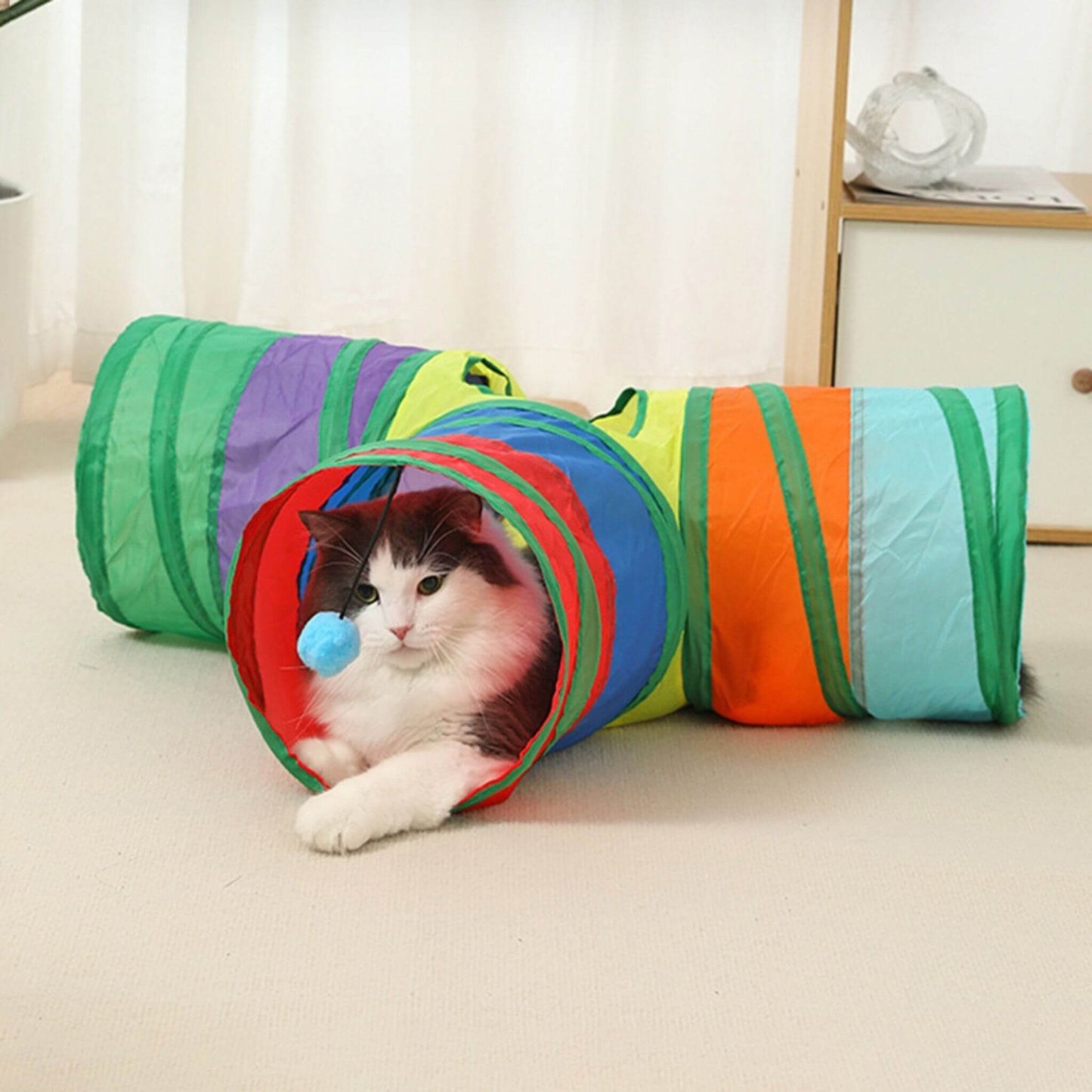 tunnel-du-chat-en-T