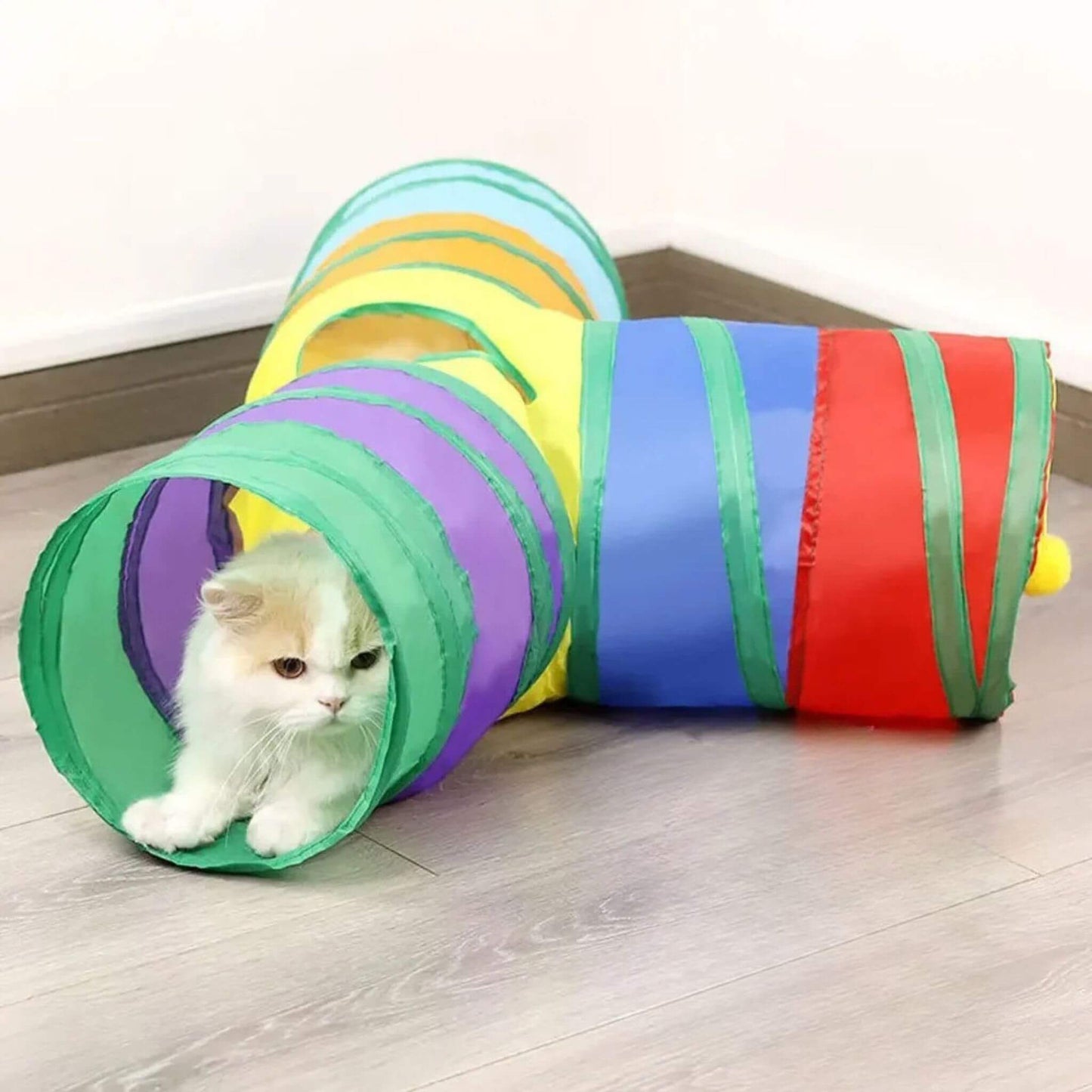 tunnel-du-chat-en-Y