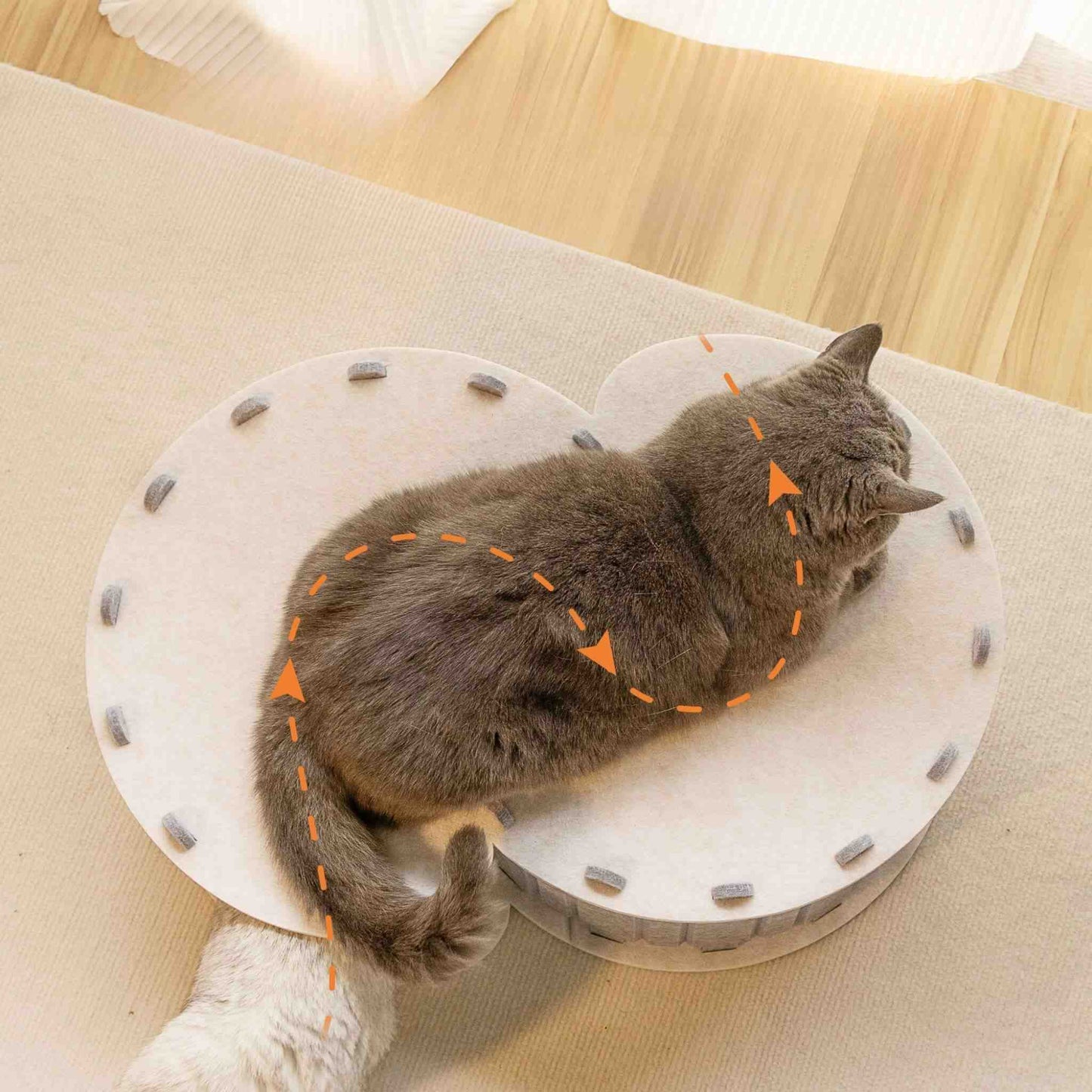 tunnel-du-chat-en-s