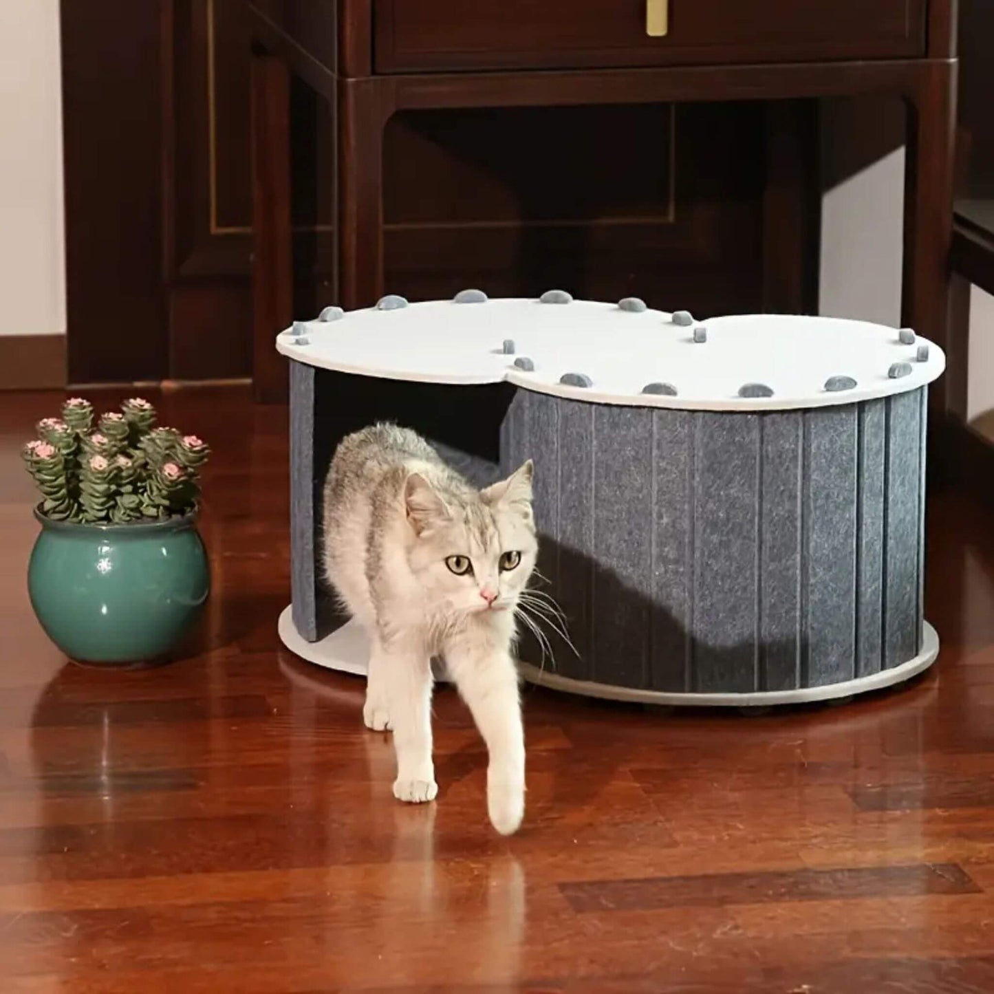 tunnel-du-chat-gris