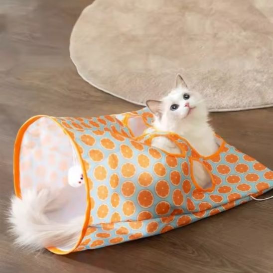 tunnel-du-chat-orange