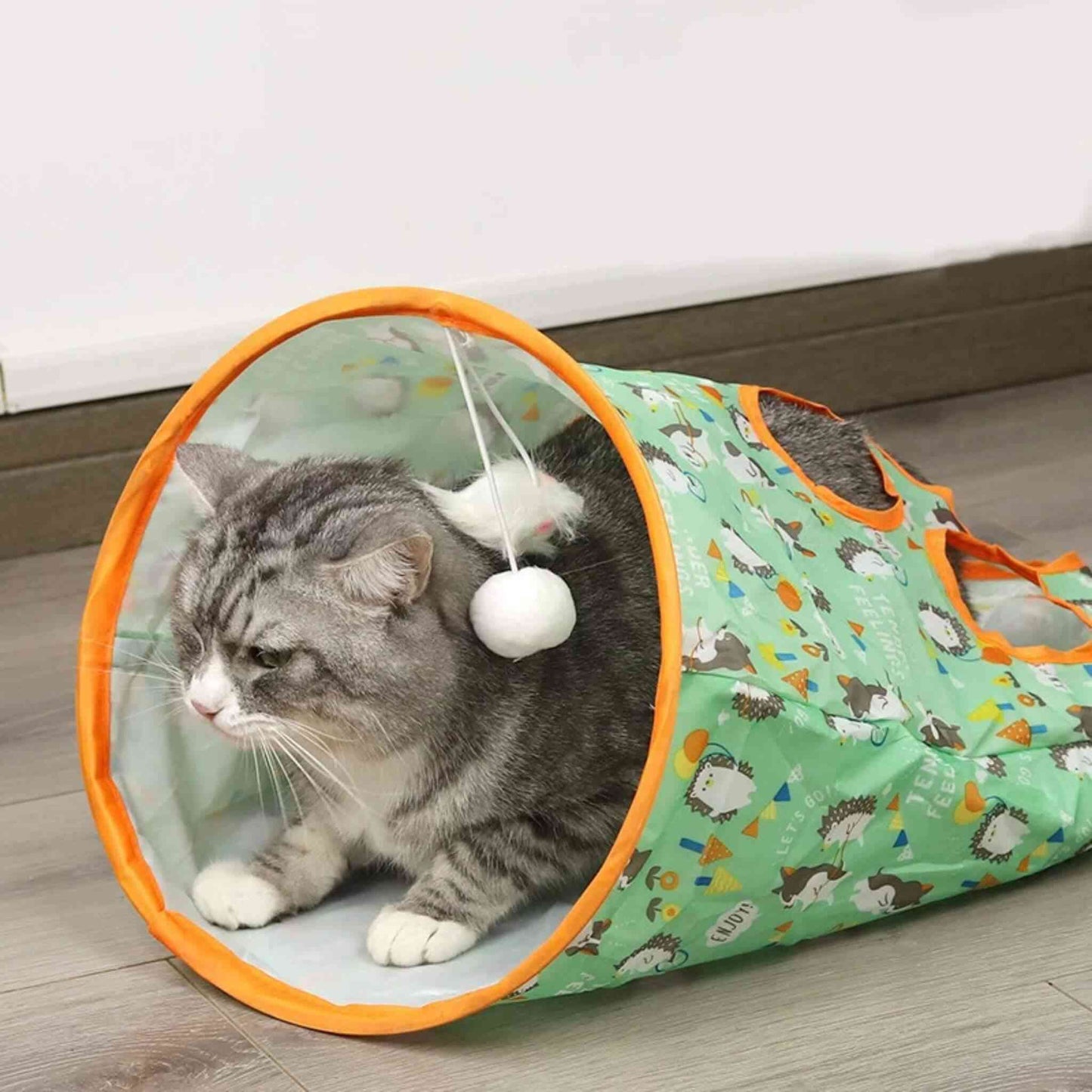 tunnel-du-chat-unique