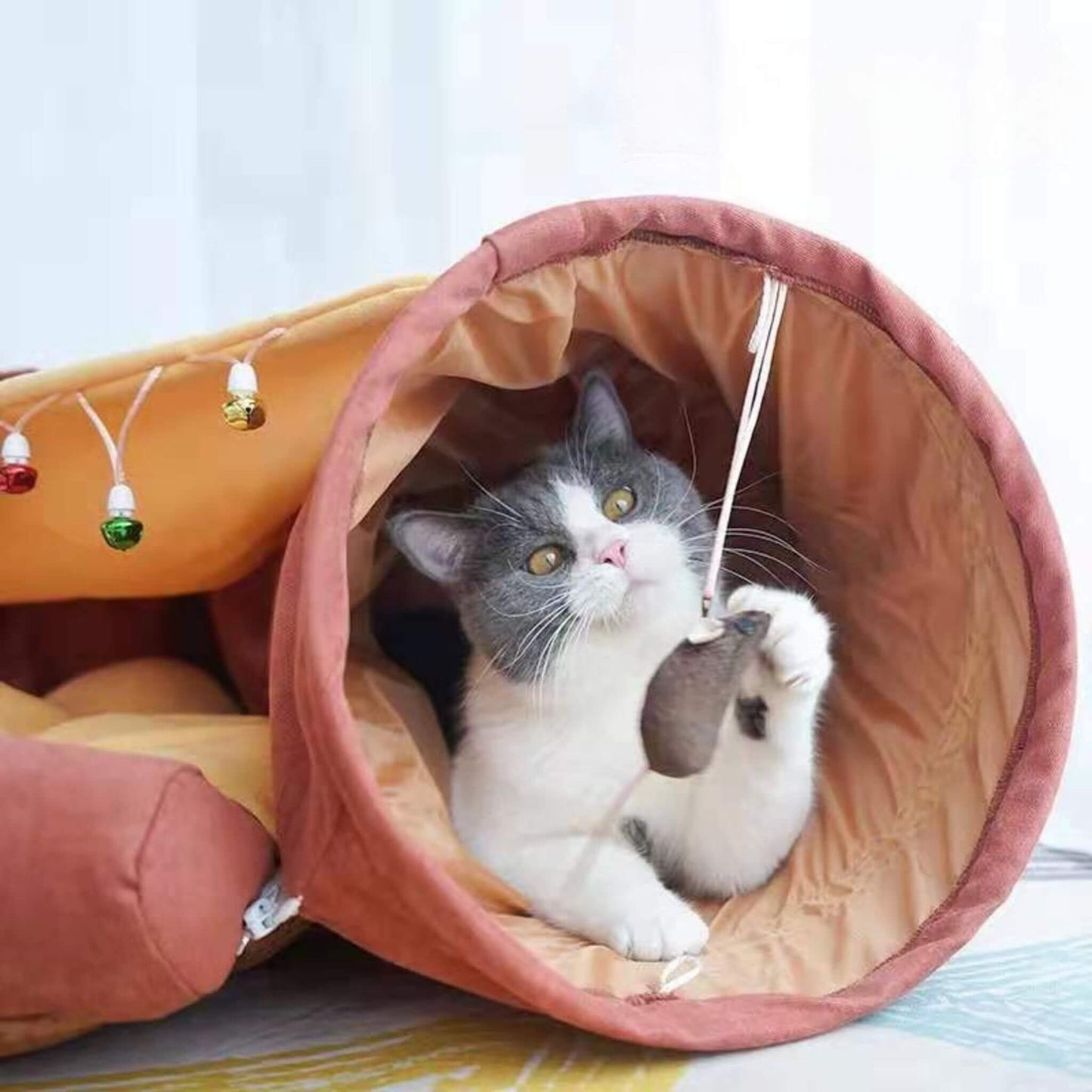 tunnel-pour-chat-aire-de-jeu-jouet