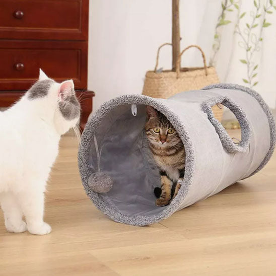 tunnel-pour-chat-aventure