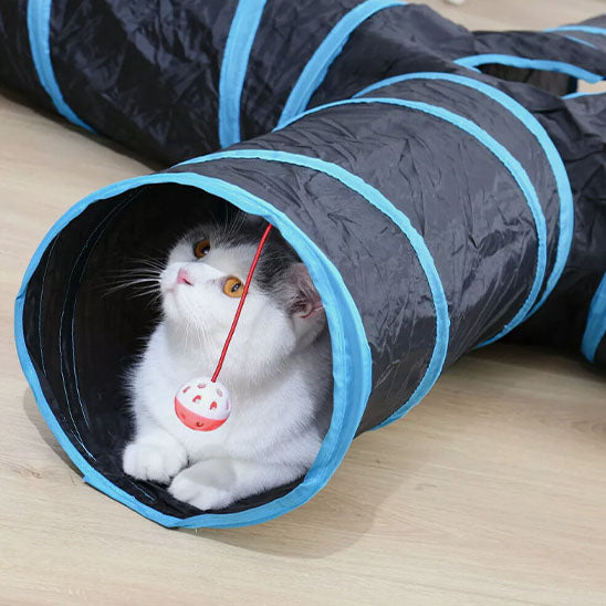 tunnel-pour-chat-balle-suspendue