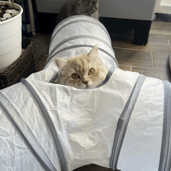 tunnel pour chat | Neko Passage