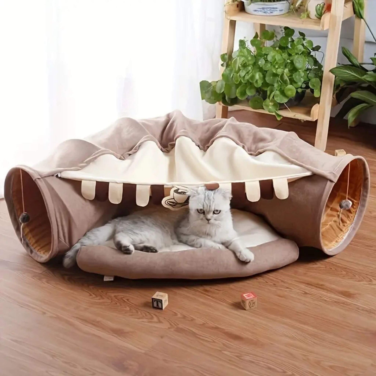 tunnel-pour-chat-café