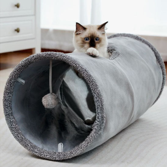 tunnel-pour-chat-design
