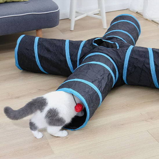 tunnel-pour-chat-explorateur