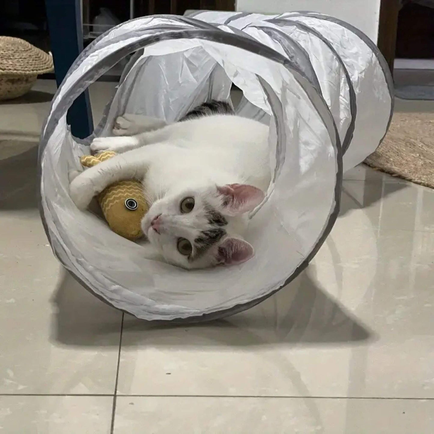 tunnel pour chat | Neko Passage