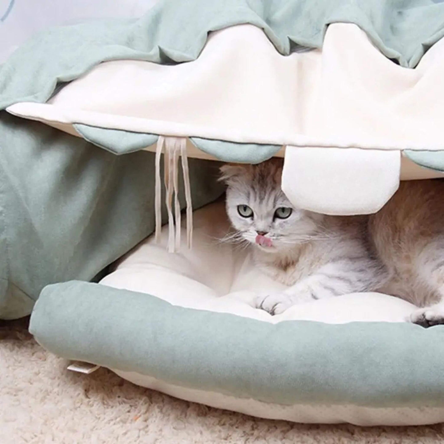 tunnel-pour-chat-lit