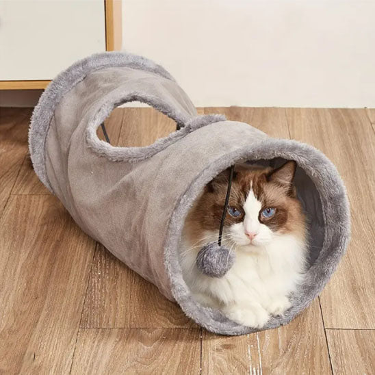 tunnel-pour-chat-mignon