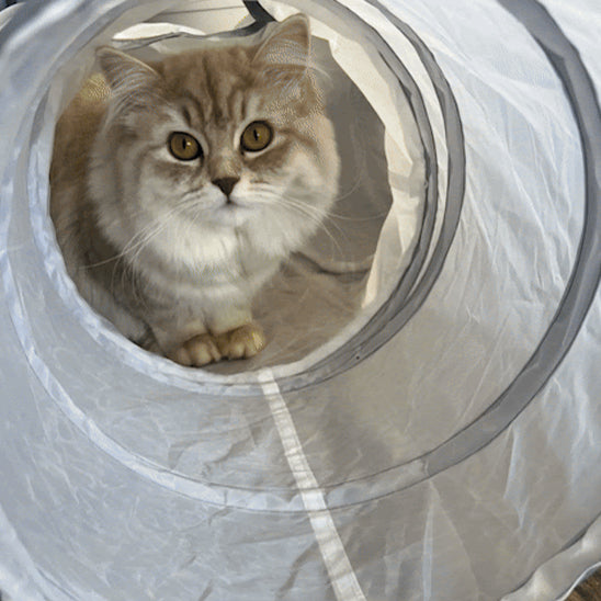 tunnel-pour-chat-neko-passage