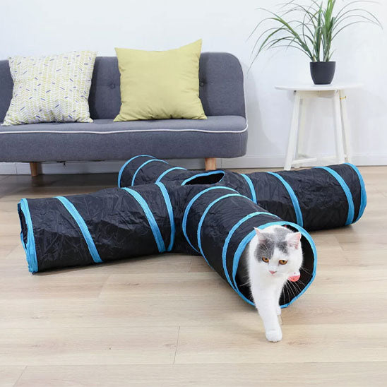 tunnel-pour-chat-unique